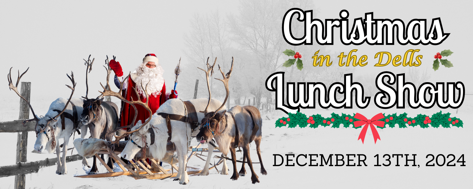 Starlight Tours llc visits Christmas in The Dells lunch and dinner theatre