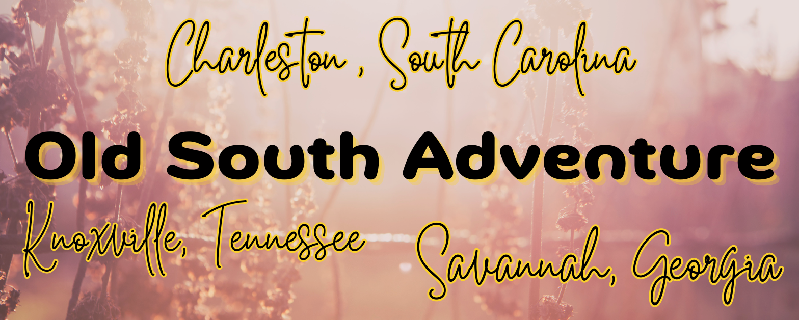 Starlight Tours visits the old south