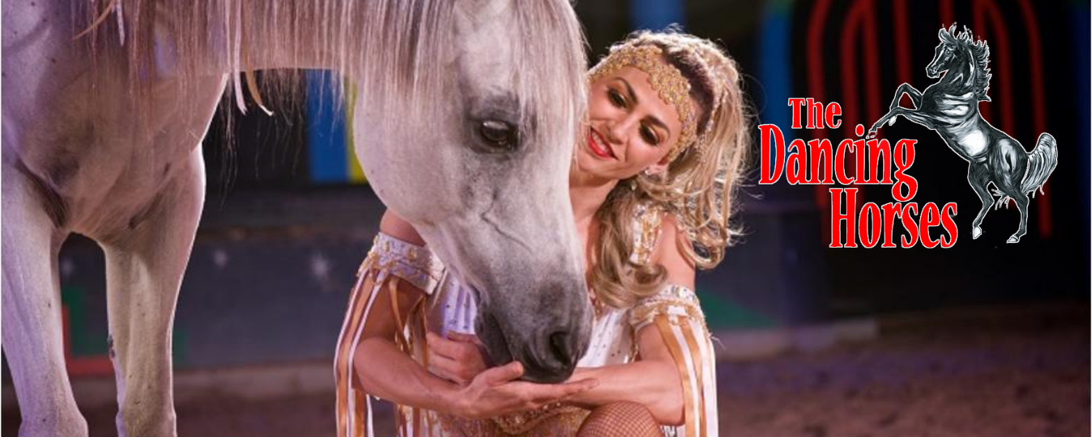 Starlight Tours visits The Dancing Horses in Delavan, Wisconsin